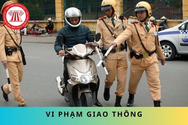 Pháp luật