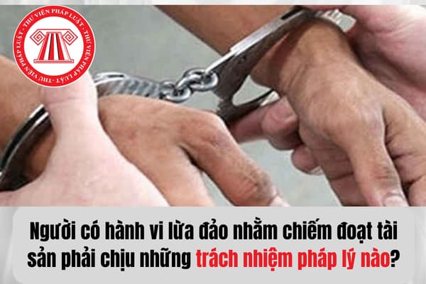 Pháp luật