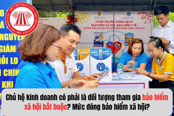 Pháp luật