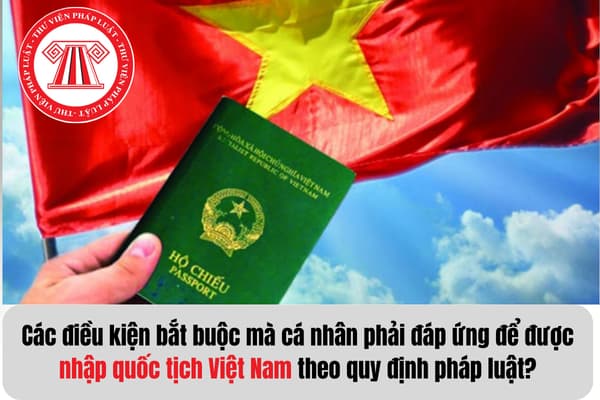 Pháp luật