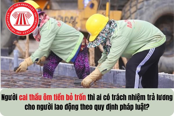 Pháp luật