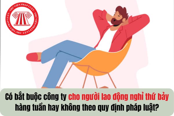 Pháp luật