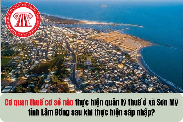Pháp luật