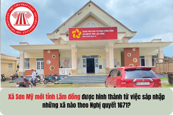 Pháp luật