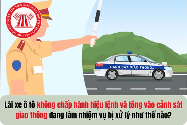 Pháp luật