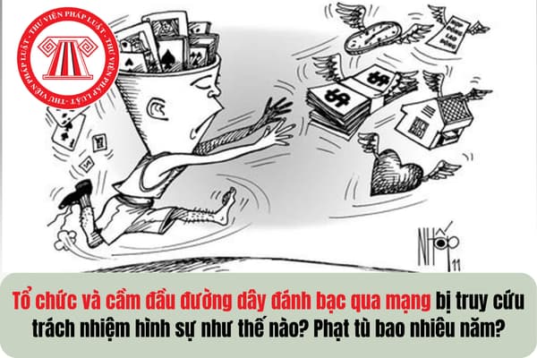 Pháp luật