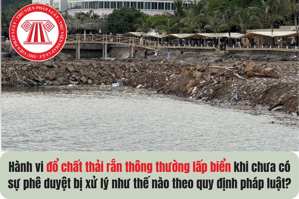 Pháp luật