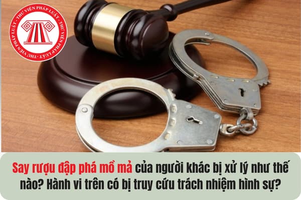 Pháp luật