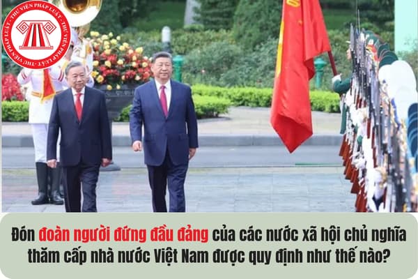 Pháp luật
