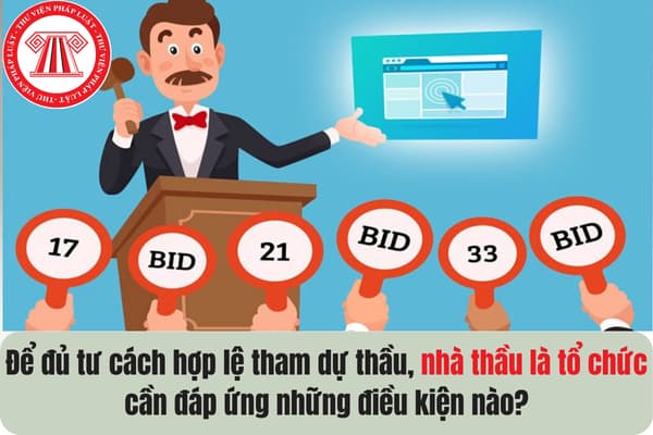 Pháp luật