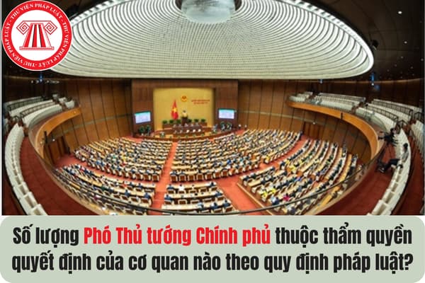 Pháp luật
