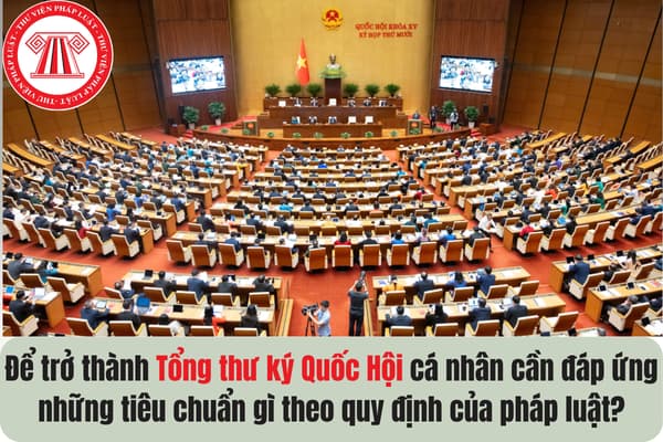 Pháp luật