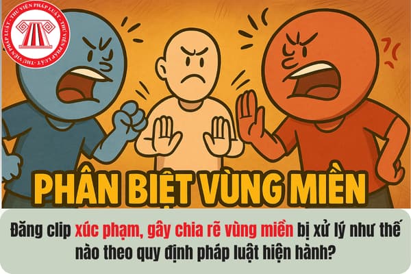 Pháp luật