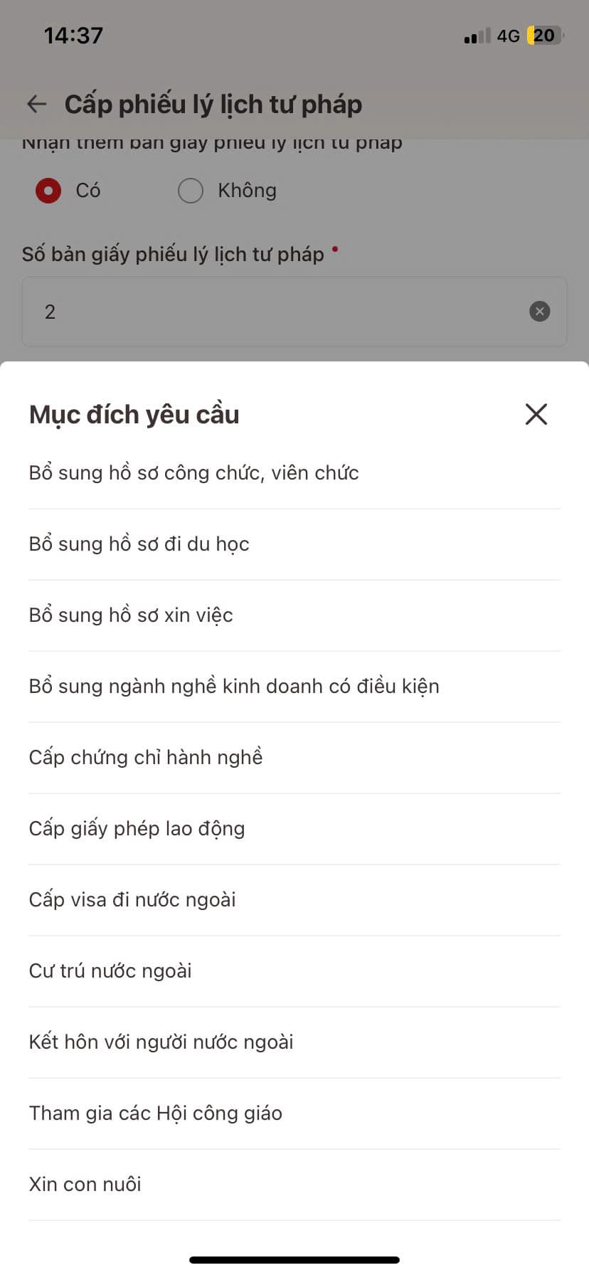 Lý lịch tư pháp 12