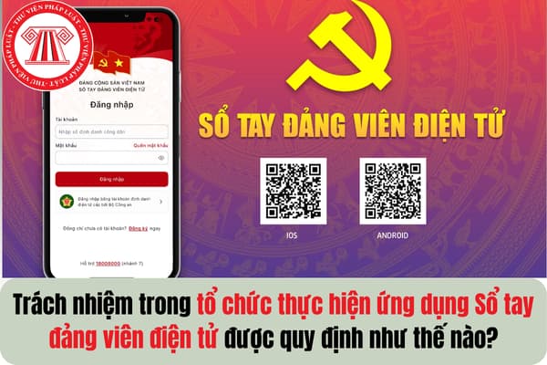 Pháp luật