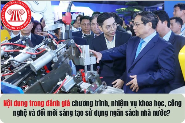 Pháp luật