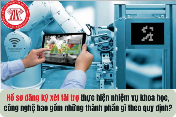 Pháp luật