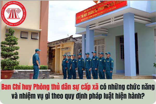 Pháp luật