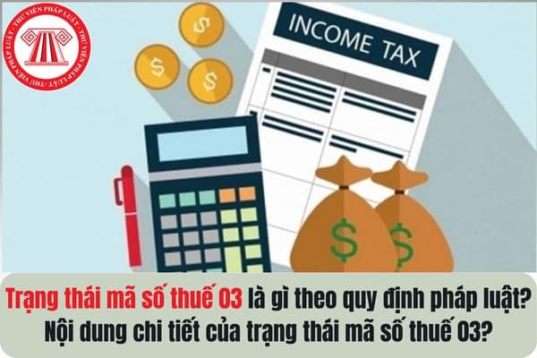 Pháp luật