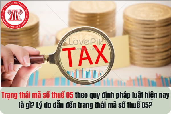 Trạng thái mã số thuế 05 theo quy định pháp luật hiện nay là gì? Lý do dẫn đến trang thái mã số thuế 05?