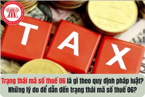 Pháp luật