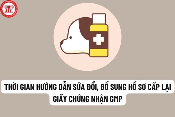 Thời gian hướng dẫn sửa đổi bổ sung hồ sơ cấp lại giấy chứng nhận thưc hành tốt cơ sở sản xuất thuốc thú y là bao lâu?