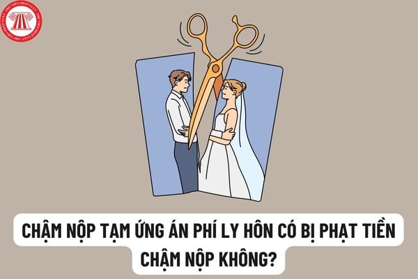 Chậm nộp tạm ứng án phí ly hôn có bị phạt lãi chậm nộp không? Thời hạn nộp tiền tạm ứng án phí ly hôn là bao lâu?