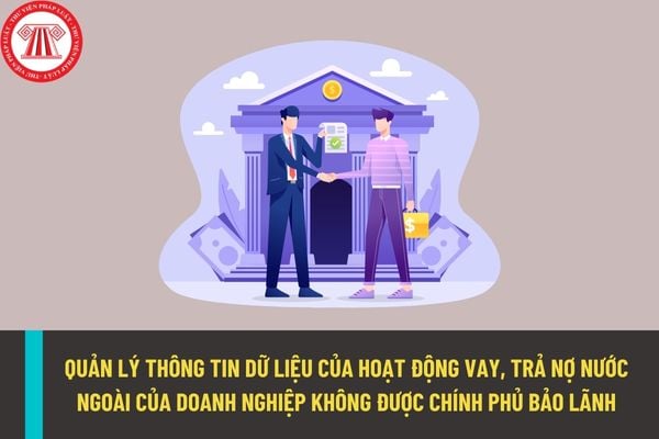 Quản lý thông tin dữ liệu về hoạt động vay, trả nợ nước ngoài của doanh nghiệp không được Chính phủ bảo lãnh thông qua công cụ nào?