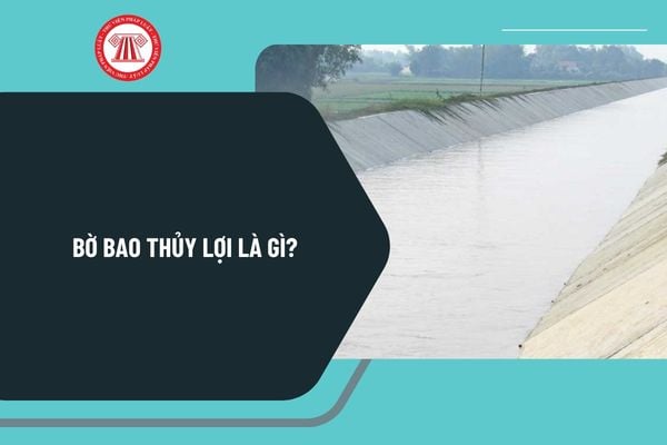 Pháp luật