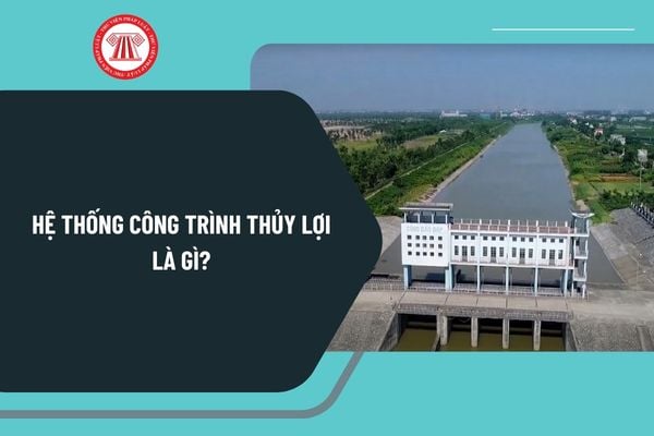 Pháp luật