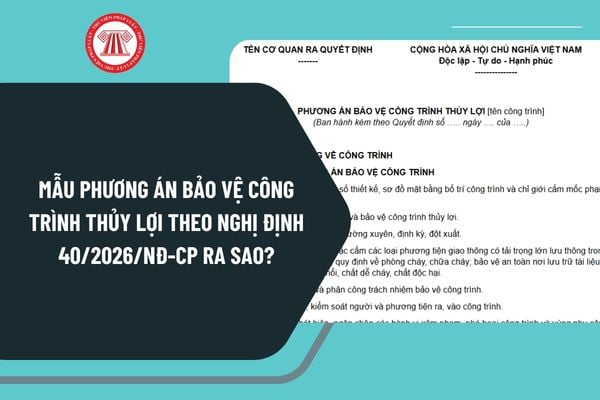 Pháp luật
