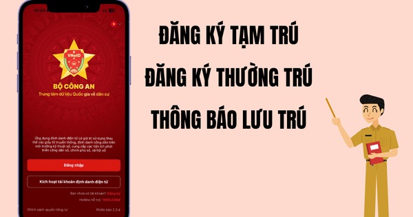 Pháp luật
