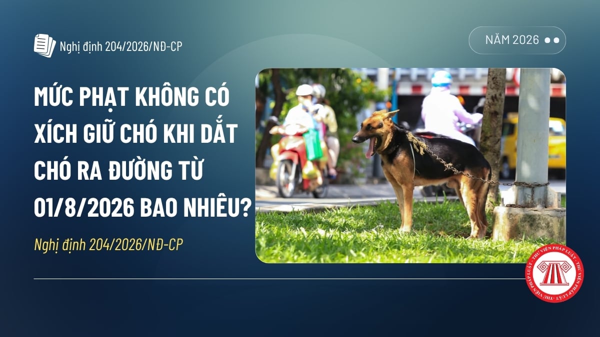 Pháp luật