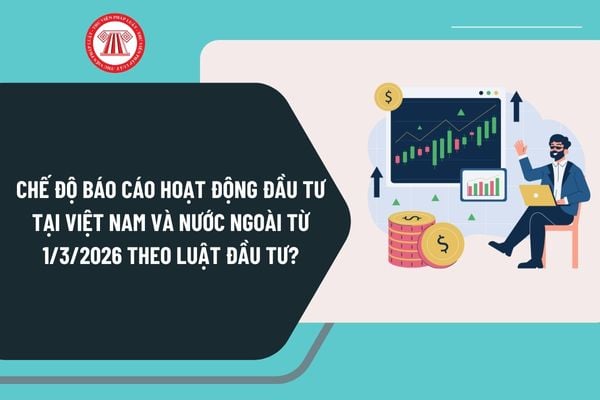 Chế độ báo cáo hoạt động đầu tư tại Việt Nam và nước ngoài từ 1/3/2026 theo Luật Đầu tư mới nhất?
