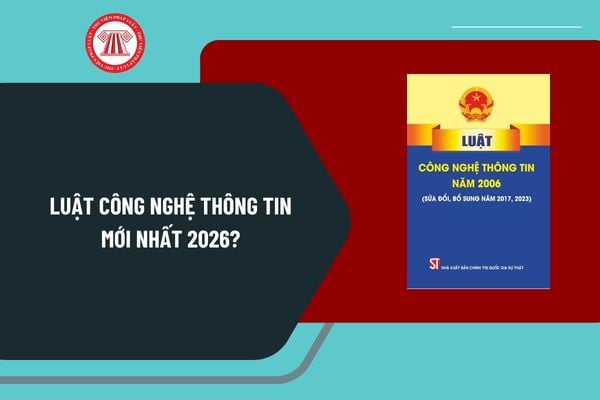 Pháp luật