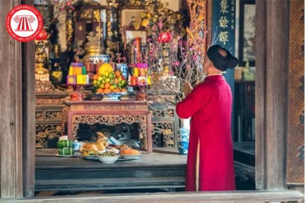 Pháp luật