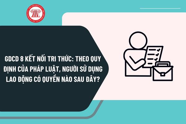 Pháp luật