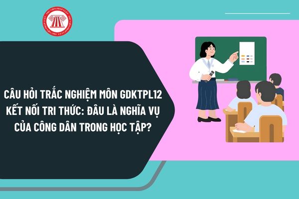Pháp luật