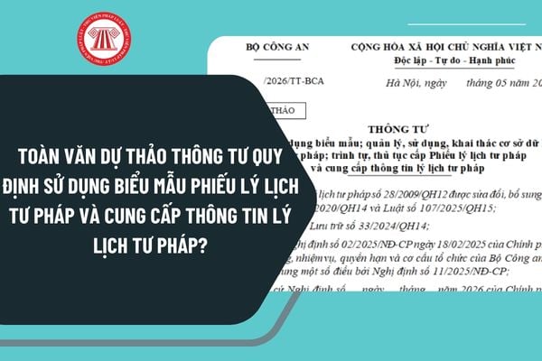 Pháp luật