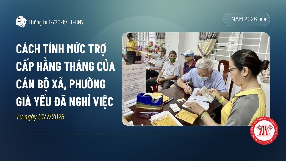 Pháp luật