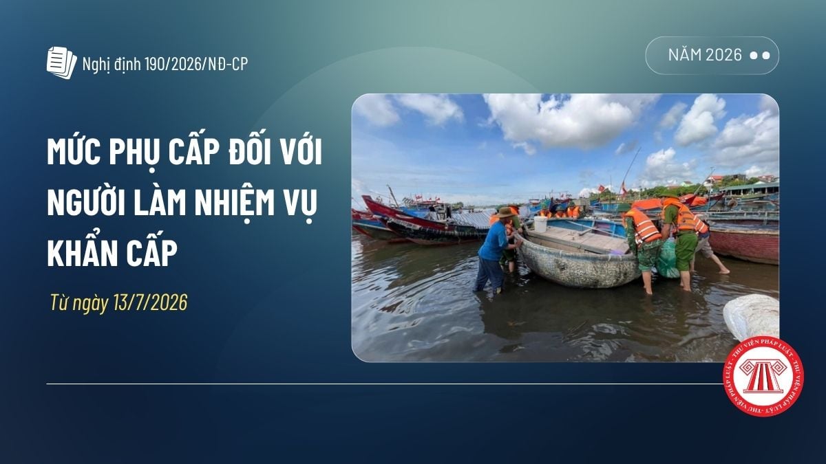 Pháp luật