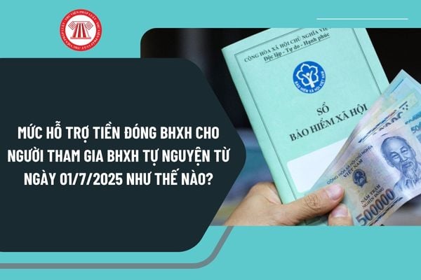 Pháp luật
