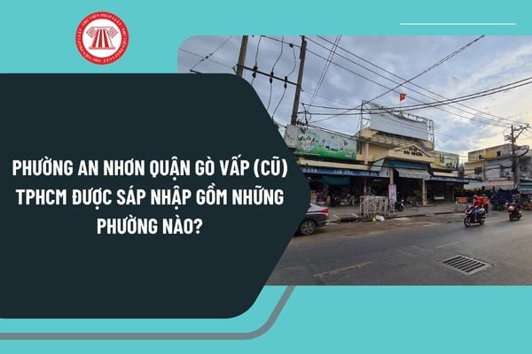 Pháp luật