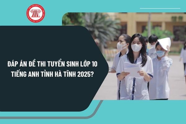 Pháp luật