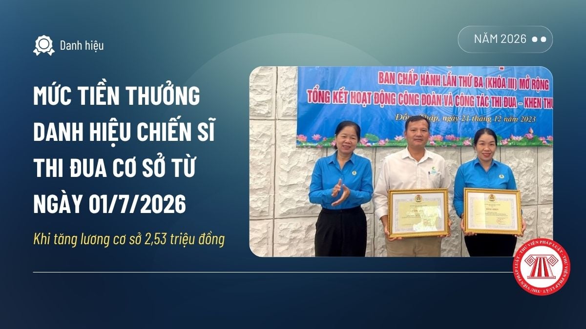 Pháp luật