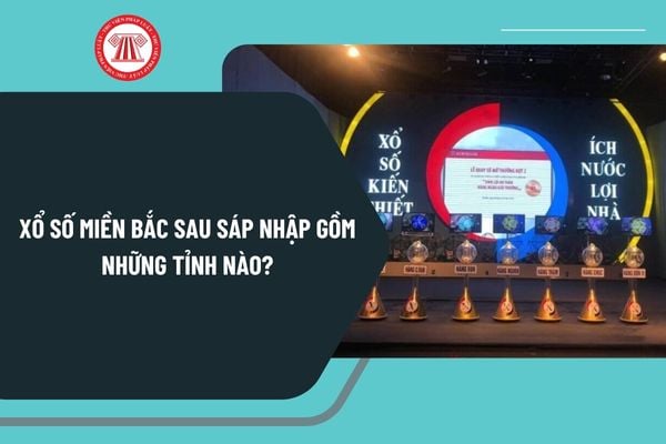 Pháp luật