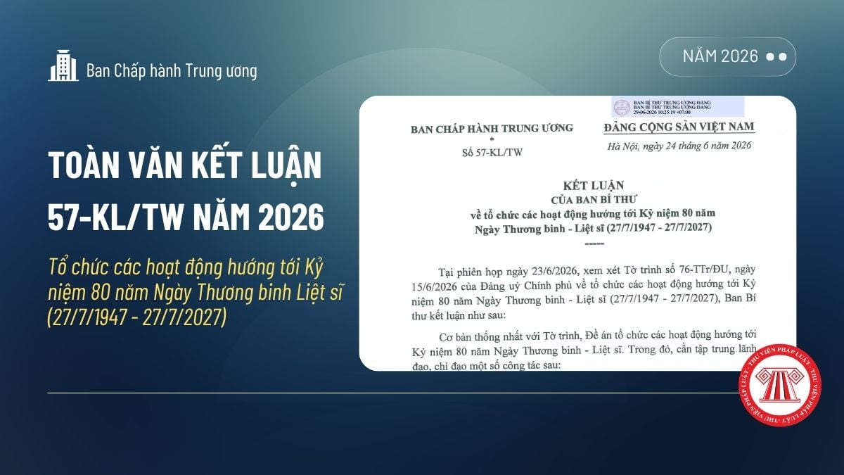Pháp luật