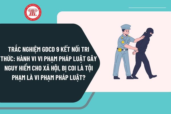 Pháp luật