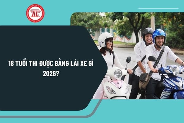 Pháp luật