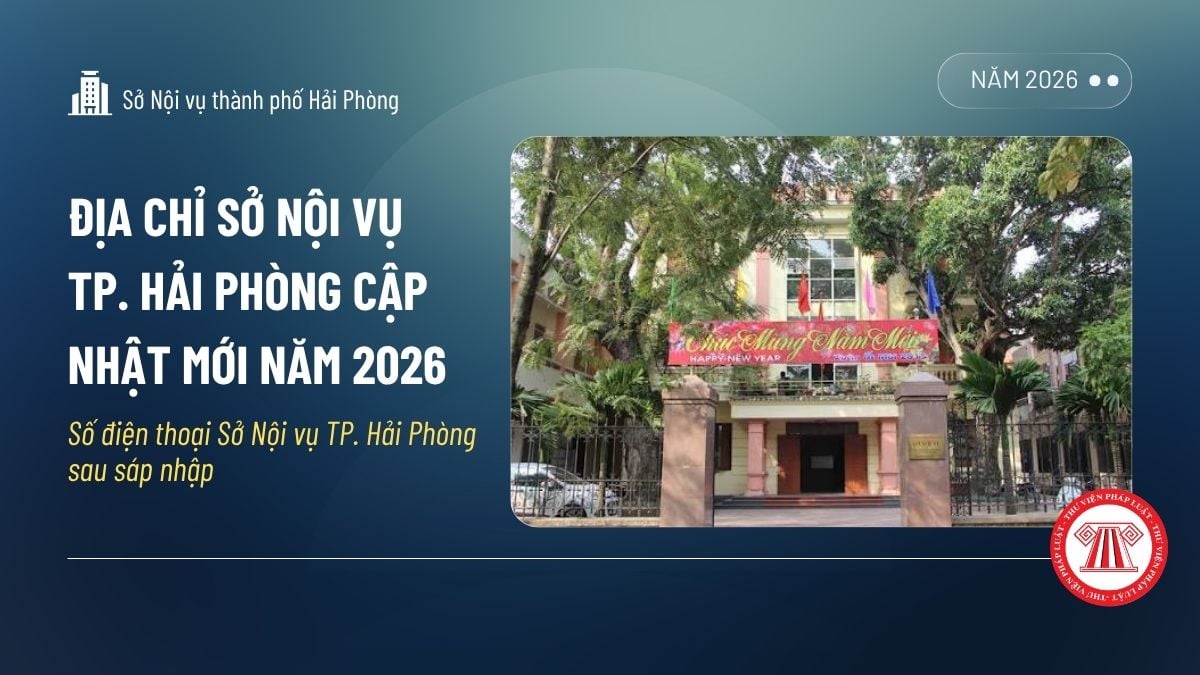 Pháp luật